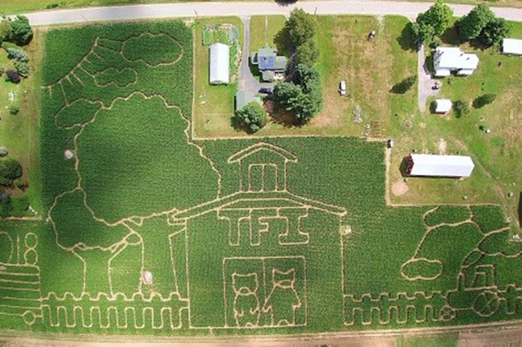 Lost: The Great Adirondack Corn Maze