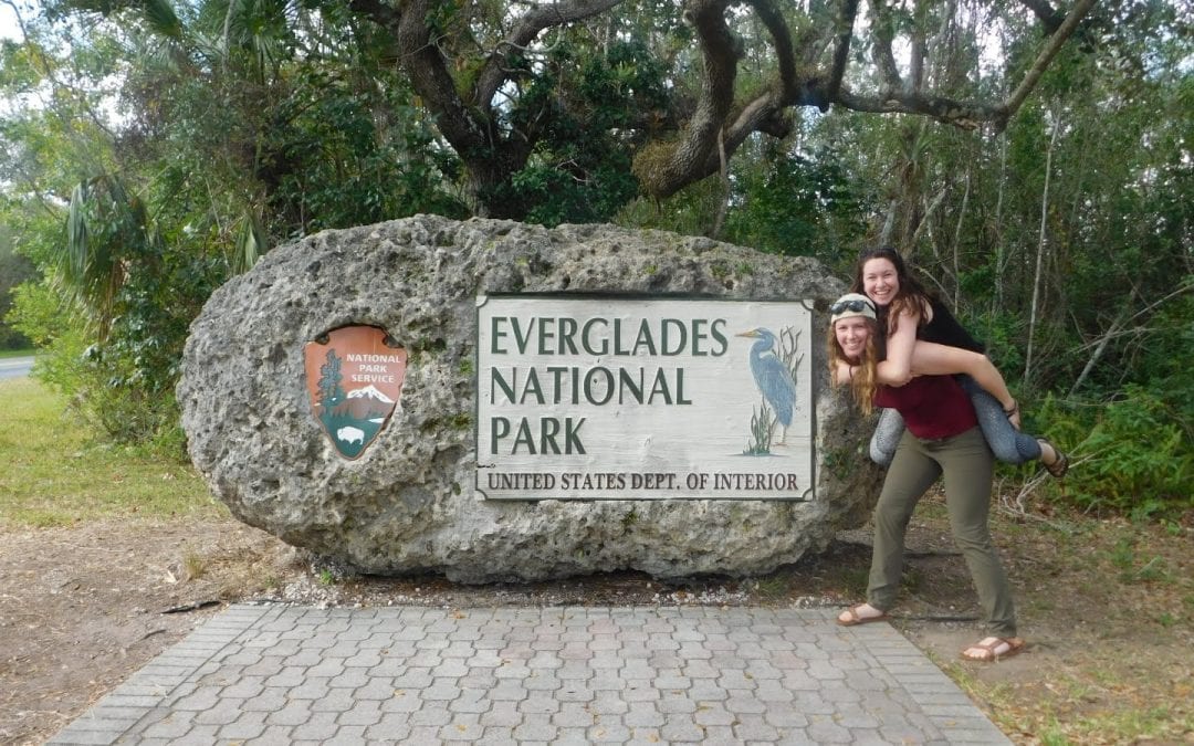 Journey to the Everglades