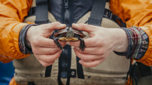 Fisheries & Wildlife Sciences