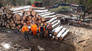 Arboriculture & Landscape Management