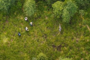 Five people in a marsh from overhead