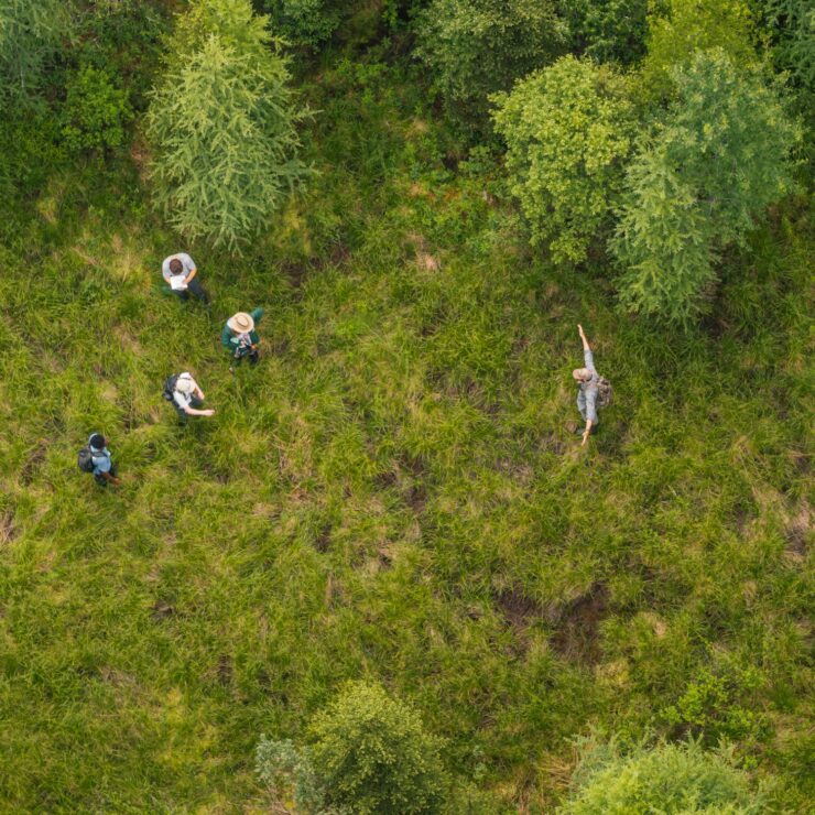 Five people in a marsh from overhead