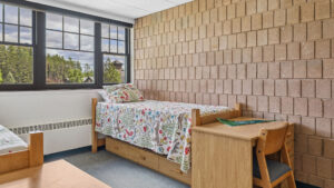 Franklin Hall bed with window