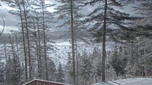 View of the woods and lake from the VIC deck