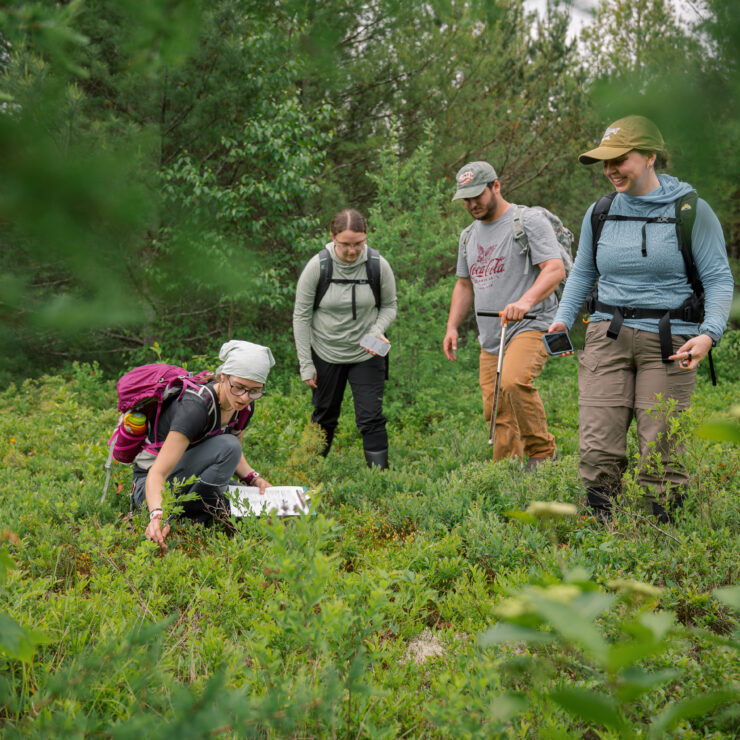 Identifying plants on a hike