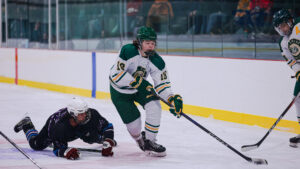 Three hockey players