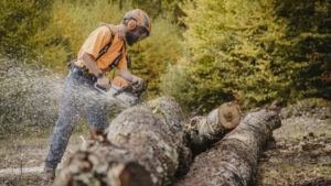 A man cutting a tree with a chainsaw