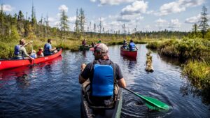 A group of canoes