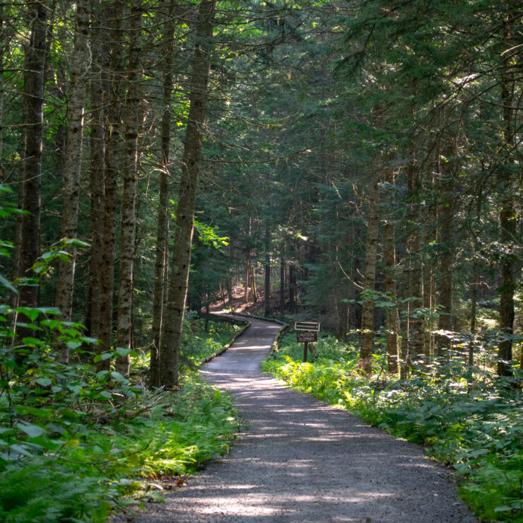 John Dillon Park — hero image