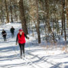 A group of people skiing