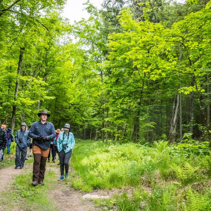 A group of people walking on a trail