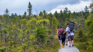 family hiking on a boardwalk