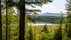 View of St. Regis Mountain