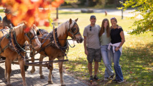 Three people standing next to horses with red and yellow leaves in the foreground