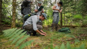 A person crouching over moss with three people standing behind them
