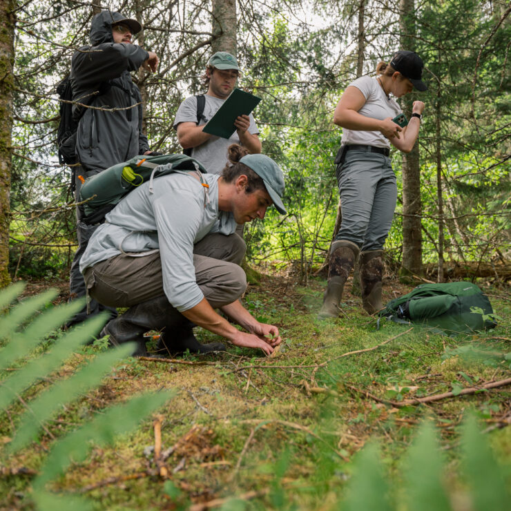 A person crouching over moss with three people standing behind them