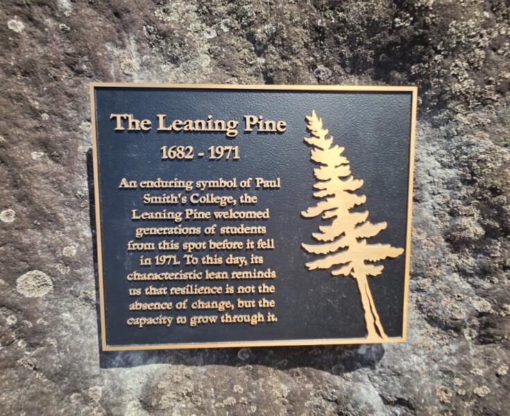 A plaque honoring the Leaning Pine